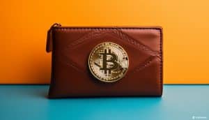 3 affordable cryptos with potential big upside: Could they mint the next millionaires this bull run?