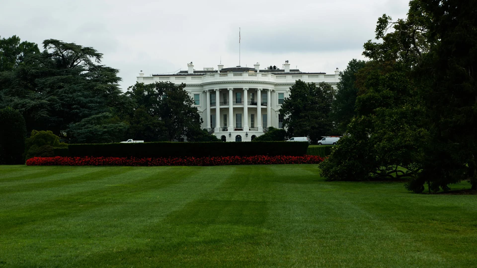 TRUMP Meme Coin Price, Volume Skyrocket on Exclusive Event