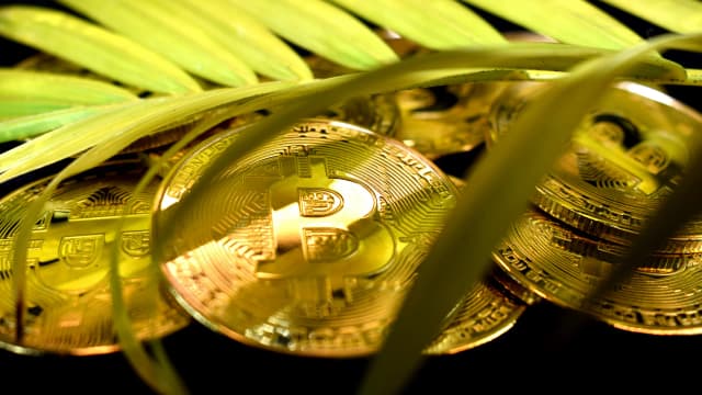 20 Million Bitcoin Mined—Most Miners Won't See the Next One