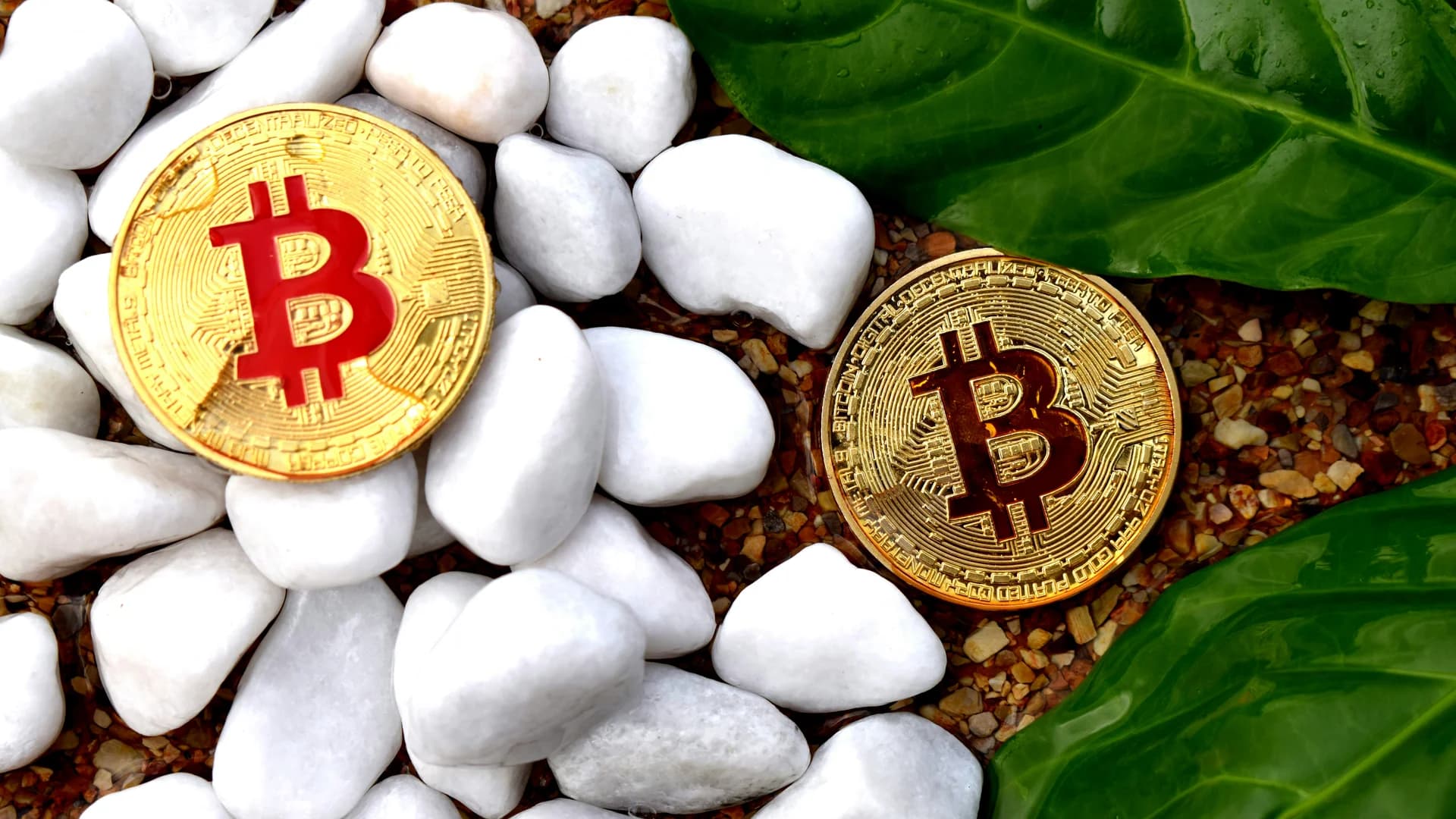 Bitcoin Price Hits Weekly High Amid Middle East Tensions