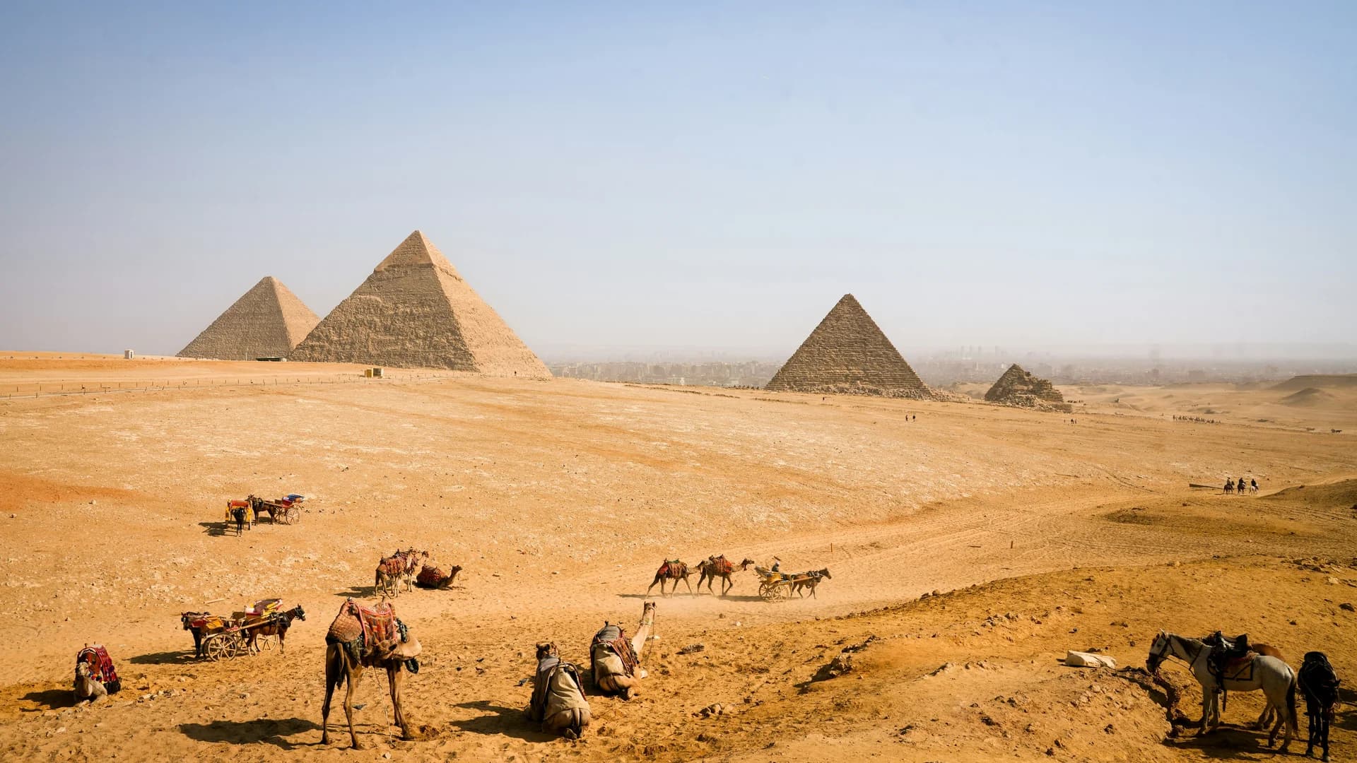 Durov: Iran's Telegram Ban Backfired