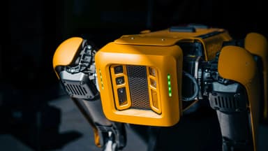 Milla Jovovich Launches AI Memory Tool MemPalace