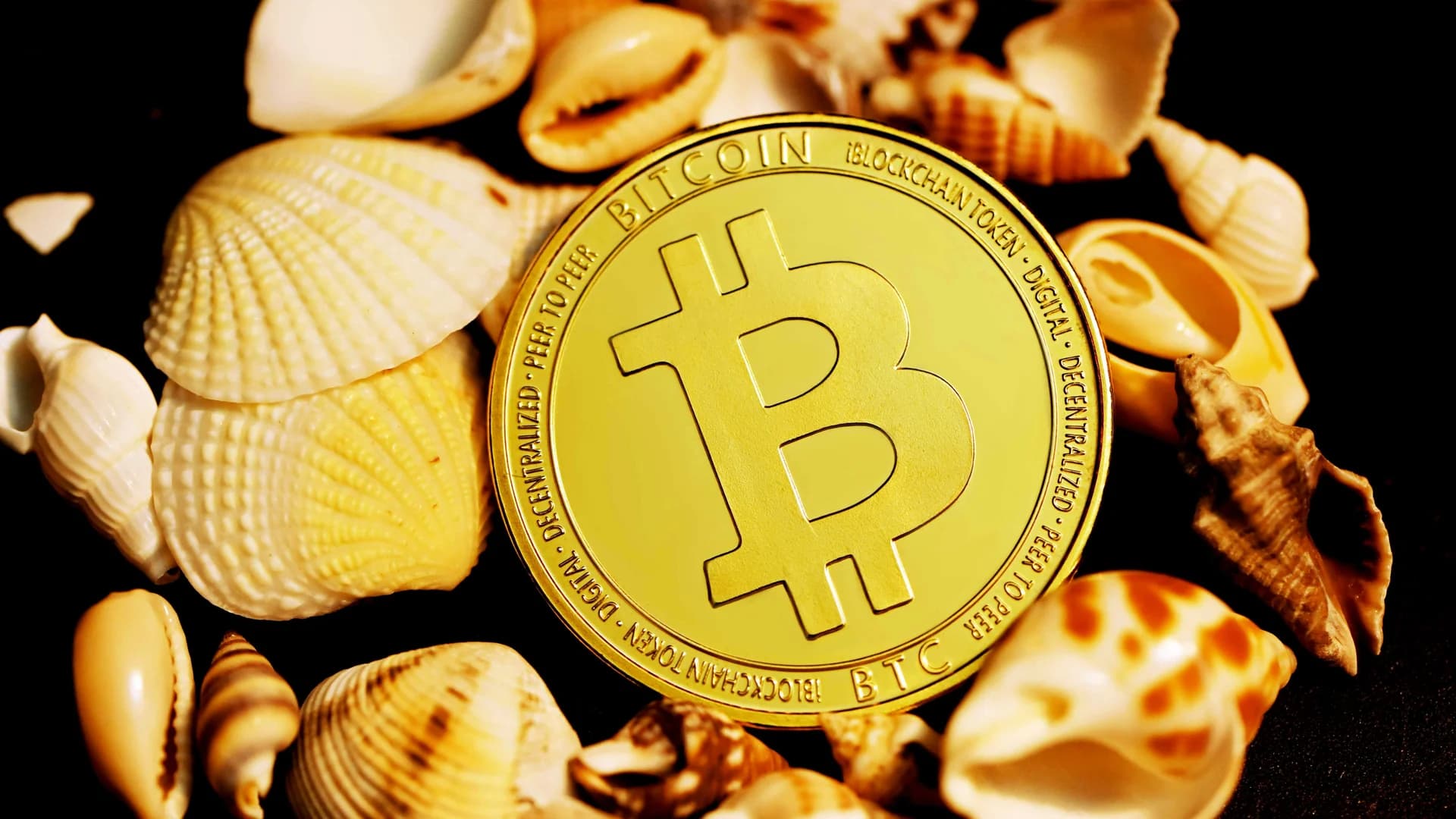 Bitcoin Price Pulls Back From $79K High as Short Squeeze Signals Build