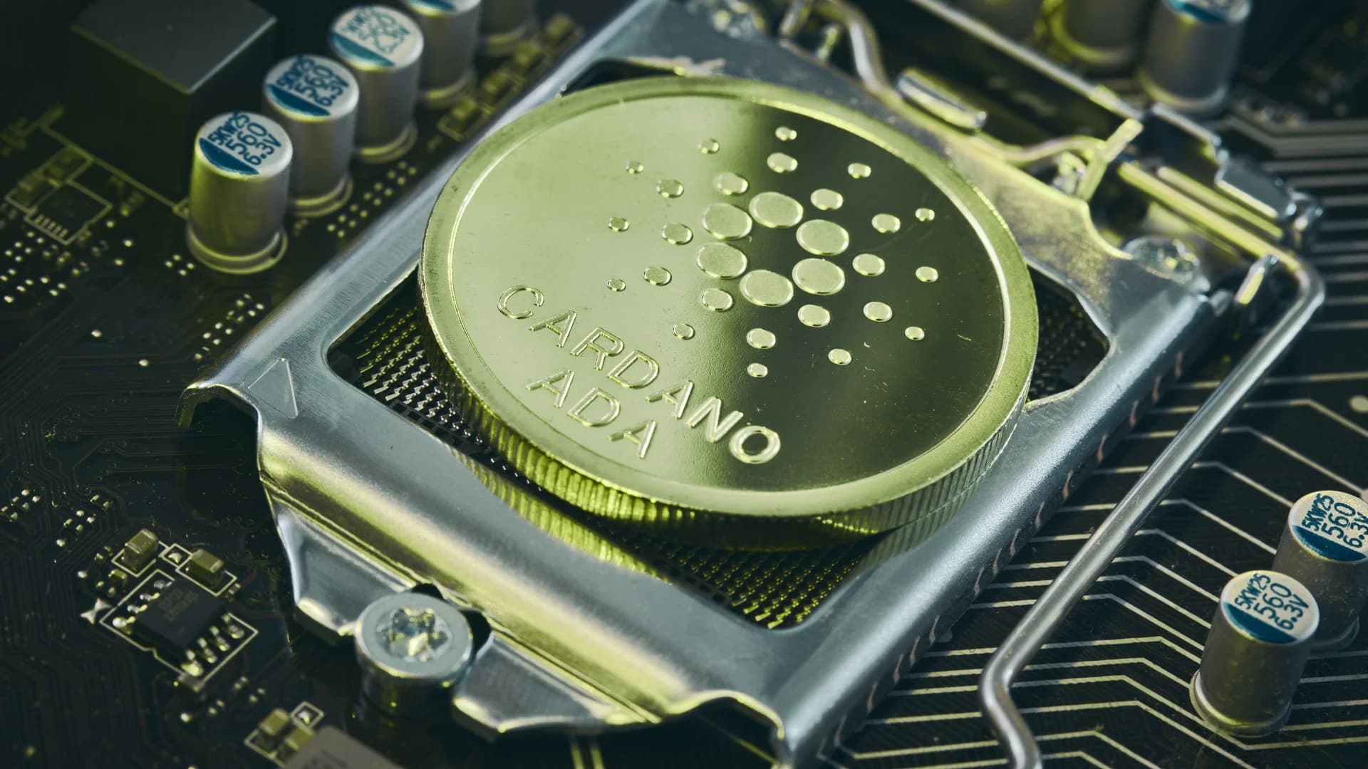 Hoskinson Pins Cardano Top 10 Comeback on Nine IOG Treasury Proposals