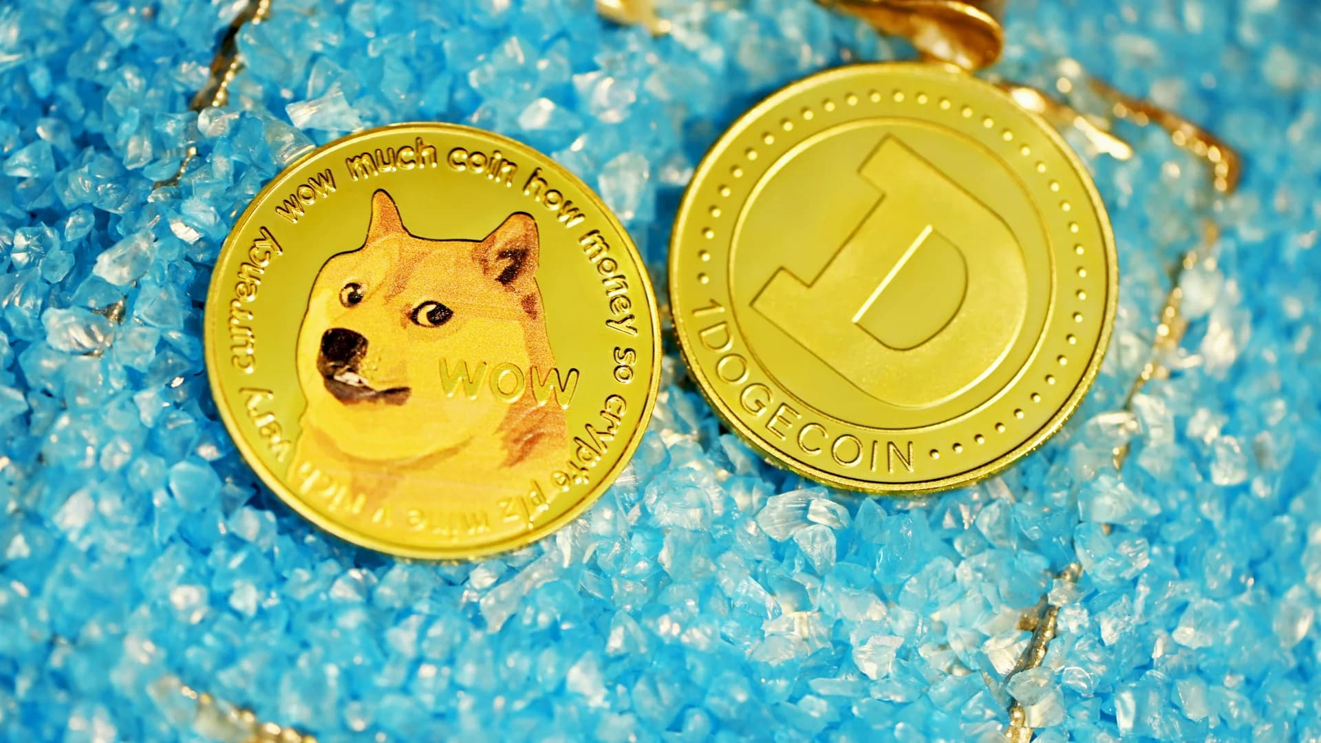 Varntix Opens Fixed and Flexible Crypto Accounts as Dogecoin $0.50 Prediction Stalls
